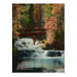 Black Hills Fisherman Vintage Postcard