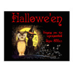 Cat and Owl in Vintage Halloween Postcard