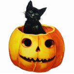 Cat in Pumpkin Halloween Ornament Cut Out