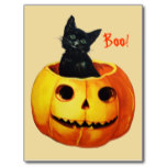 Cat in Pumpkin Vintage Halloween Postcard
