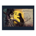Cat Warning Owl Vintage Halloween Postcard