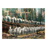 Cavalry Troop on Redwood Party Invitation