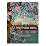 Cherry Blossoms Vintage Postcard
