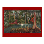 Cypress Gardens Vintage Postcard