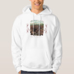 Eagle River Canyon Hooded Sweatshirt