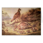 Family of Quail Greeting Card