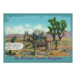 Funny Vintage Desert Party Invitations