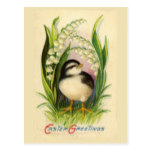 Little Easter Bird Vintage Postcard