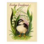 Little Easter Bird Vintage Postcard