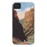 Second Tunnel Colorado iPhone 4 Casement Case