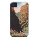 Second Tunnel in Royal Gorge Blackberry Case