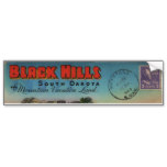 The Black Hills Vintage Travel Card Bumber Sticker Bumper Sticker