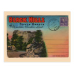 The Black Hills Vintage Travel Postcard