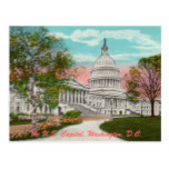 The U.S. Capitol Vintage Postcard