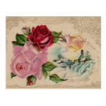 Victorian Winter Roses Vintage Postcard