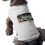 Vintage Delaware Park Dog Shirt
