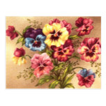 Vintage Spring Flowers Postcard