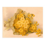 Vintage Yellow Flowers Vintage Postcard