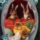 Easter Bunnies and Chick Vintage Postcard