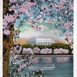 Vintage Postcard of the Cherry Blossoms in Washington DC