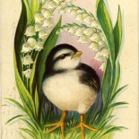 Easter Vintage Postcard - Little Bird