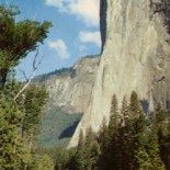 El Capitan Yosemite Vintage Postcard