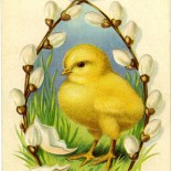 Little Chick Vintage Easter Postcard