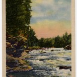 White Water Rapids Vintage Postcard