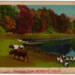 Vintage Postcard of an Ohio Country Lake