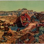 Vintage Arizona Postcard of the Petrified Forest