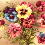 Vintage Postcard of Spring Flowers