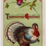 Patriotic Turkey Thanksgiving Postcard