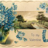 Vintage Forget-Me-Not Valentine Postcard