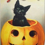 Halloween Cat in Pumpkin Postcard