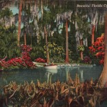Cypress Gardens Vintage Florida Postcard