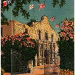 The Alamo Vintage Postcard