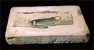 lithographic stone