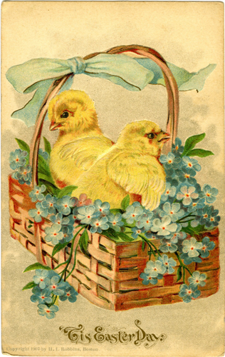 Baby Chicks in an Easter Basket Vintage Postcard