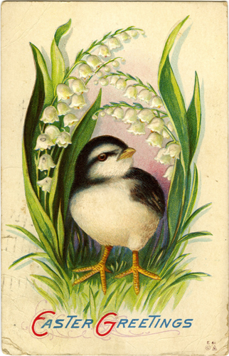 Easter Vintage Postcard - Little Bird