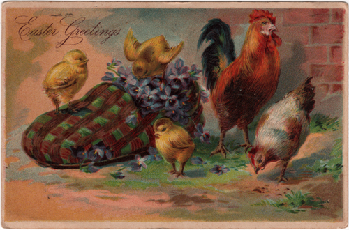 Easter Chicken Family Vintage Postcard