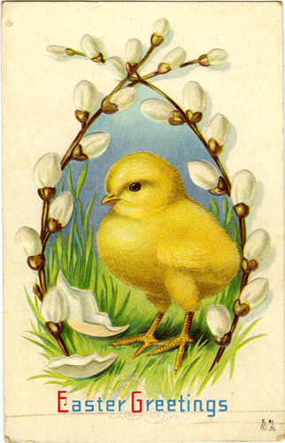 Little Chick Vintage Easter Postcard