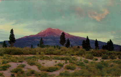 Vintage Postcard of Mount Shasta in California