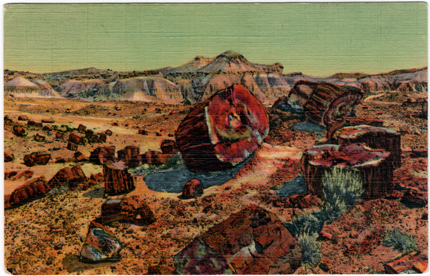 Vintage Arizona Postcard of the Petrified Forest