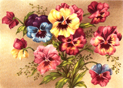 Vintage Postcard of Spring Flowers
