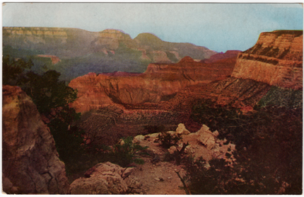 Vintage Grand Canyon Postcard