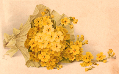 Vintage Postcard of a Spray of Yellow Flowers