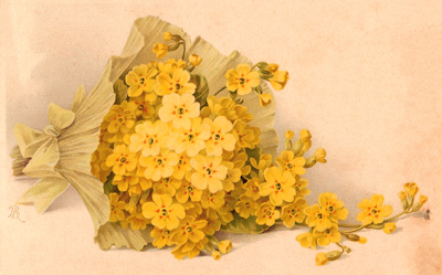 Vintage Postcard of a Spray of Yellow Flowers