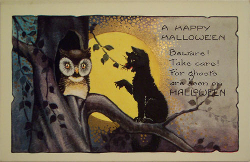 Vintage Halloween Postcard of the Cat Warning the Owl