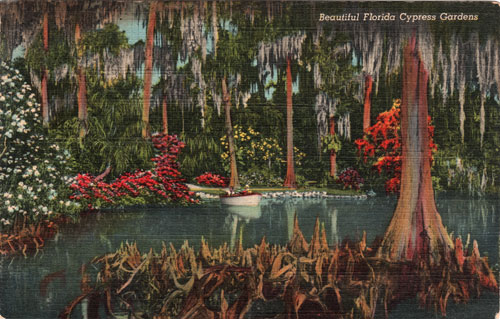 Cypress Gardens Vintage Florida Postcard